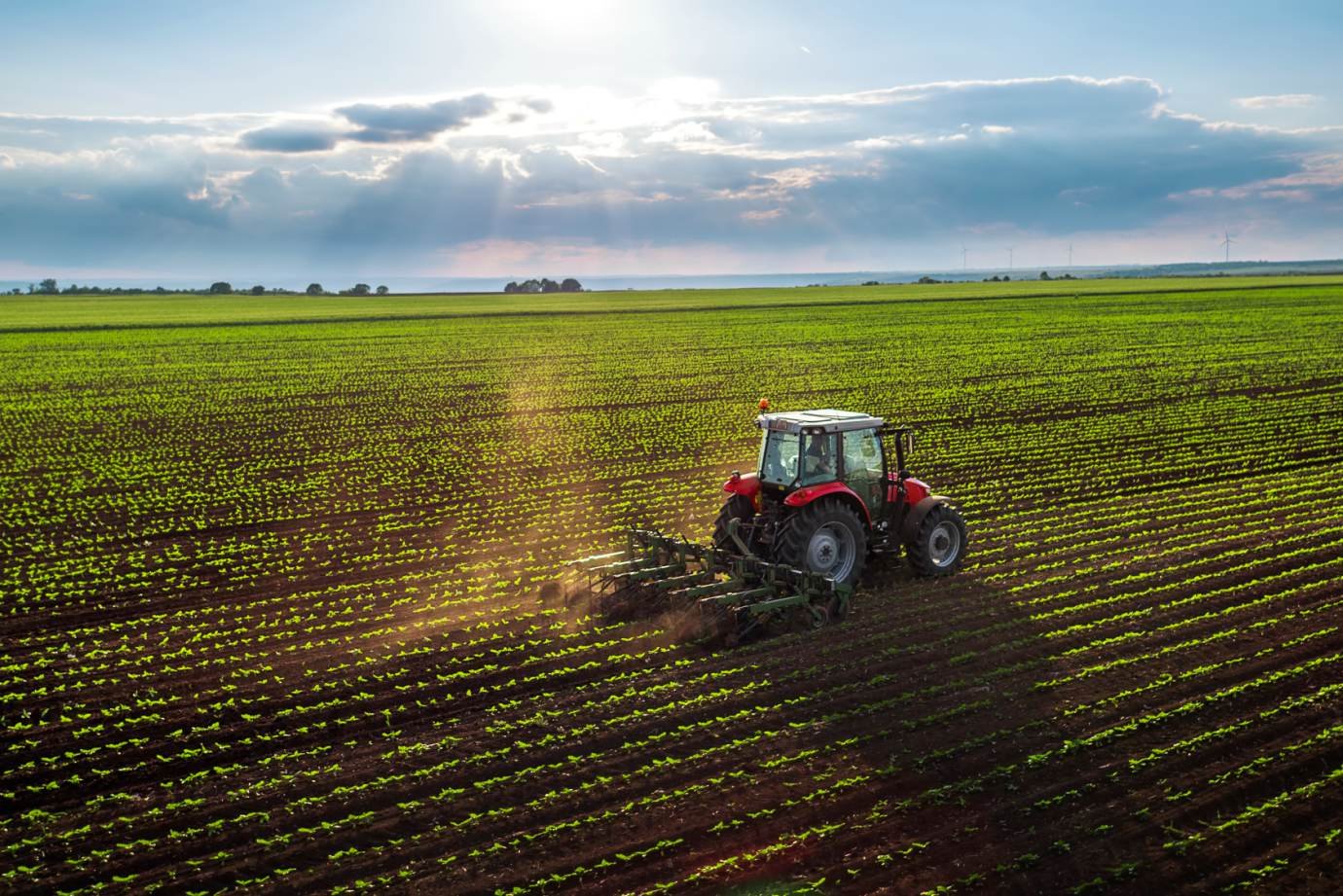 Exportações do agronegócio em São Paulo saltam 9,5% em 2021