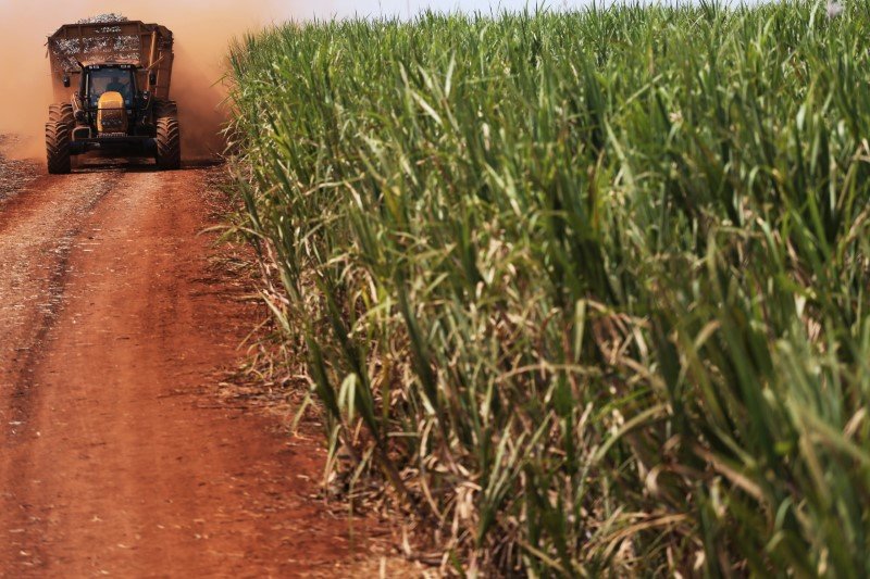 Produção de açúcar do Brasil cai 2,1% em 2017/18, diz Conab