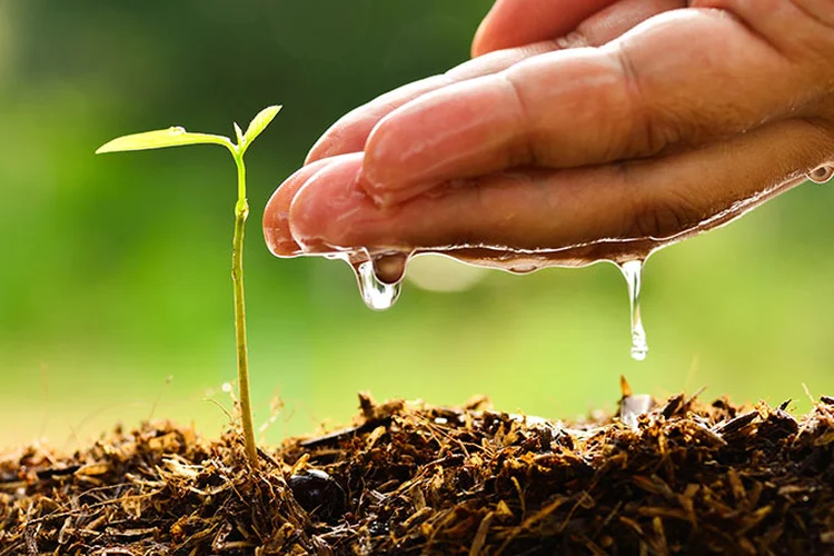 Caminhos para preservar agua: trabalhar com a natureza e não contra ela.   (Singkham/Thinkstock)