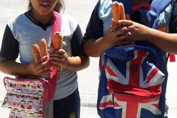 Cenouras: Legumes foram distribuídos em sacos plásticos e acompanhados de uma receita de bolo