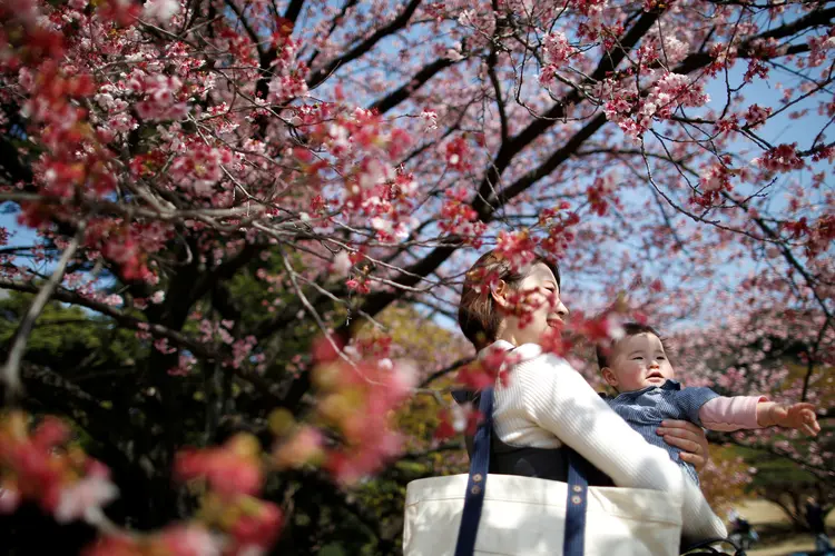 Flores de cerejeira: anúncio de que a primavera chegou no Japão (ISSEI KATO/Reuters)