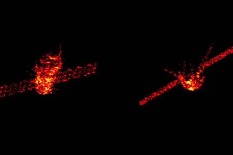 Estação espacial: de 8,5 toneladas e 12 metros de comprimento. ela estava completamente fora de controle desde 2016 (Fraunhofer FHR/ESA/Divulgação)