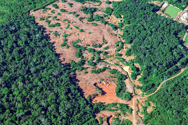 Degradação ao redor de Porto Velho: novos mecanismos estão ajudando a resolver o problema (Mario Friedlander/Pulsar Imagens/Exame)