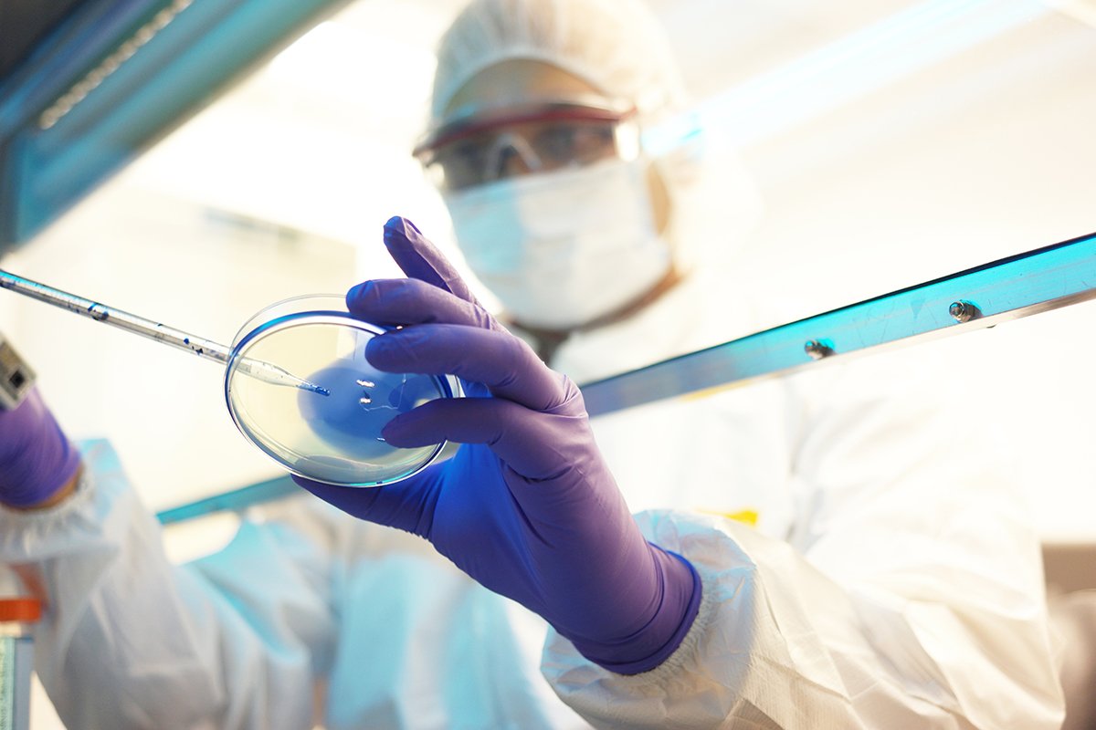Empresa brasileira transforma exame genético em mapa de epidemia