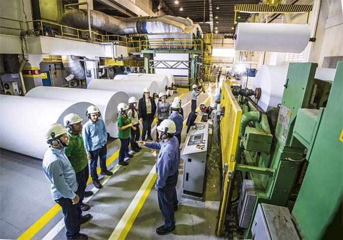 Perdas: pelas contas do Itaú BBA, o setor acumulou uma perda de 100 mil toneladas em produção de celulose desde o início da greve até segunda-feira, 28 (Germano Lüders/Reuters)