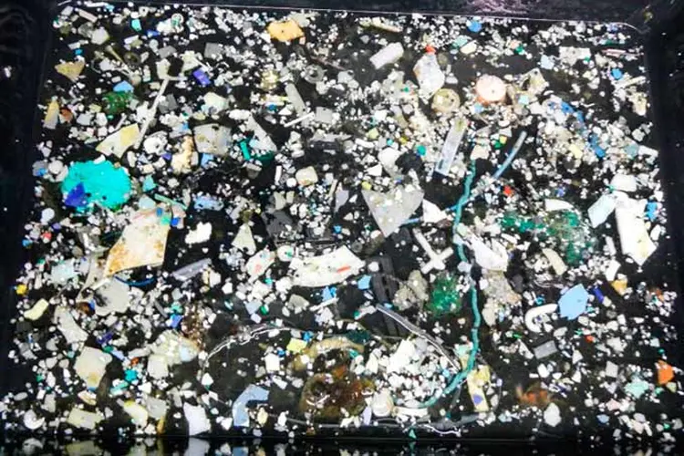 Sopa plástica: detritos recolhidos durante a expedição de pesquisa. no Pacífico. (The Ocean Cleanup/Reprodução)