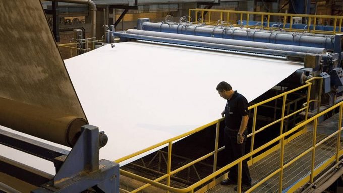No páreo pela Fibria, Suzano é destaque de alta na Bolsa