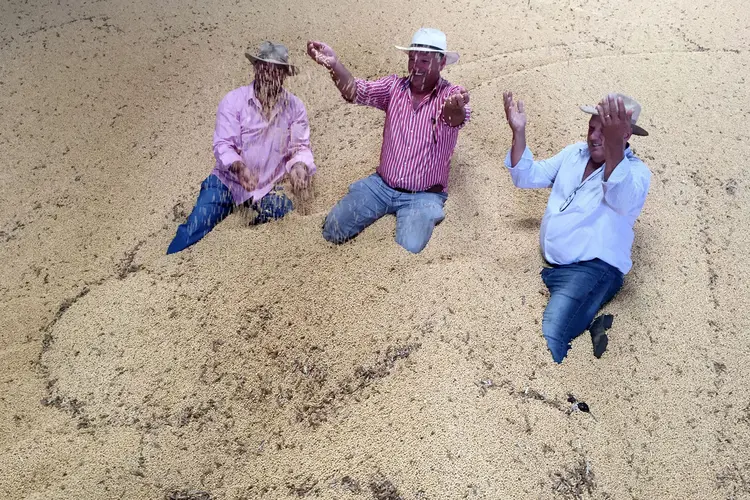 Irmãos Rossato com estoque de grãos de soja em fazenda em Tocantins 24/3/2018 REUTERS/Roberto Samora (Roberto Samora/Reuters)