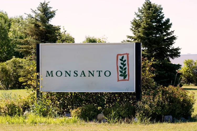 Monsanto: empresa norte-americana disse que o lucro subiu para 1,46 bilhão de dólares, ou 3,27 dólares por ação (Zachary Prong/Reuters)