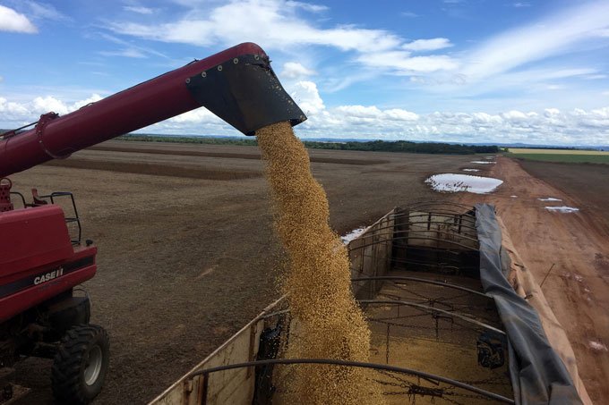 Colheita de soja: grão é um dos principais produtos comercializados da empresa (Roberto Samora/Reuters)
