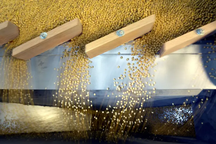 Grãos de soja: segmento agropecuário teve alta de 0,73% (Dan Koeck/Reuters)