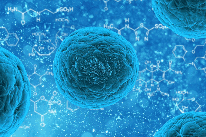 Estudo investiga semelhança de tumores com as células-tronco