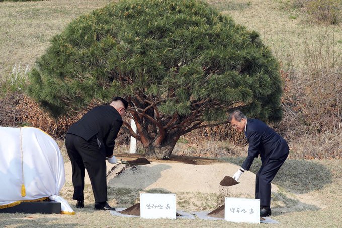 Líderes das Coreias plantam árvore para simbolizar histórico encontro