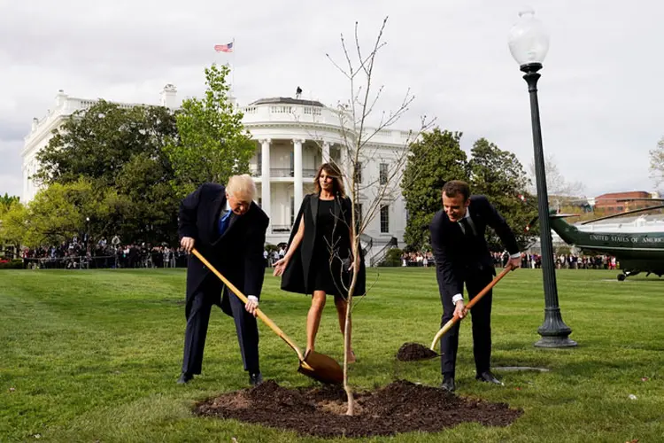 Casa Branca: poucos dias depois da cerimônia, não havia mais sinais da árvore; a planta havia sido colocada em quarentena e depois morreu (Joshua Roberts/Reuters)