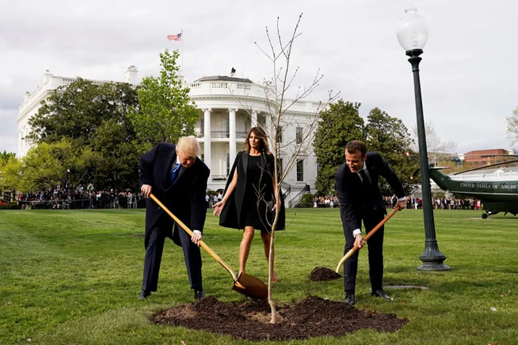 Árvore: a árvore desapareceu do jardim da Casa Branca após alguns dias (Joshua Roberts/Reuters)