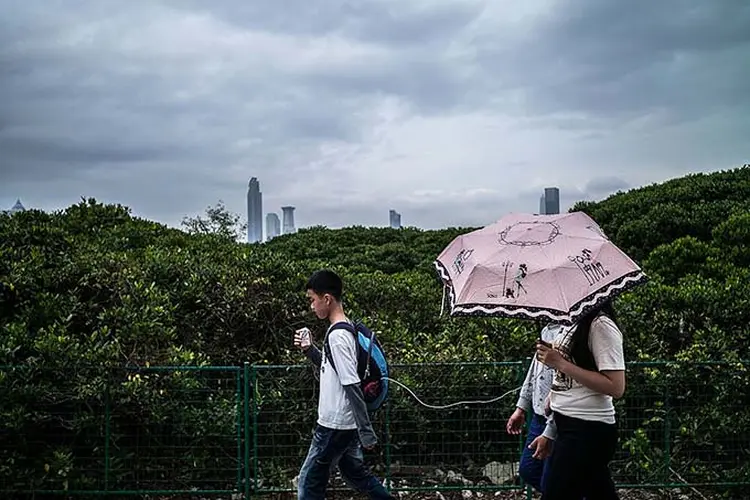 Jovens caminham próximo a uma floresta de mangue em Shenzhen, na China. (Lam Yik Fei / Stringer/Getty Images)