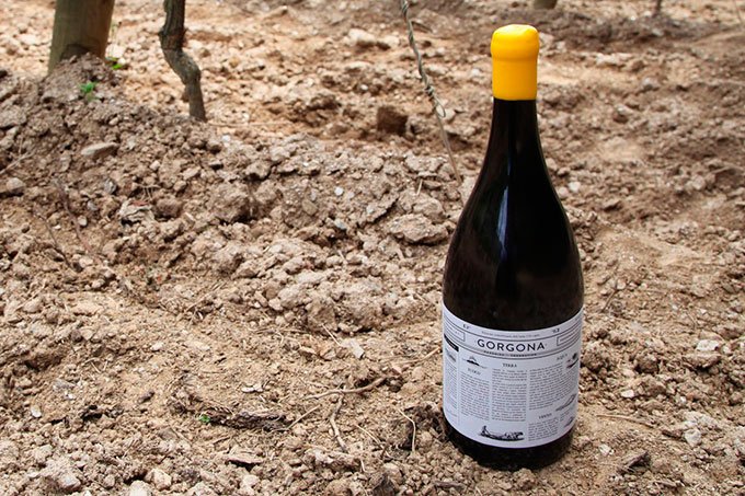 Este vinho é produzido por detentos na Itália
