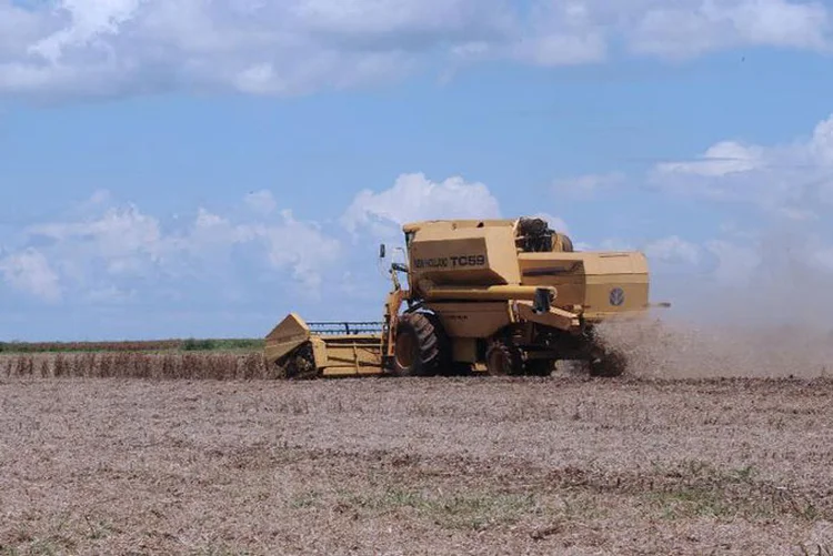 Ruralistas: Câmara dos Deputados e o Senado Federal analisam diferentes propostas de criação de uma lei geral para o licenciamento ambiental (Arquivo/Agência Brasil)