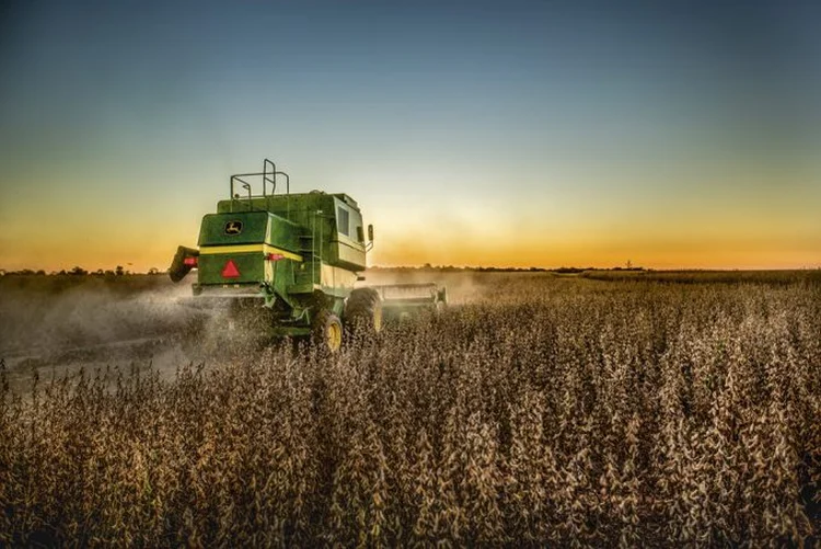 Agricultura brasileira: a Embrapa fez parte do sucesso alcançado | Adriano Kirihara/Pulsar Imagens / 