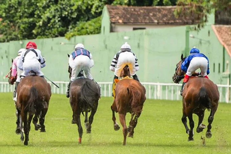 Jockey: investigações apontam também que alguns voluntários têm sido ameaçados pelos mesmos seguranças (JockeyClube/Instagram/Reprodução)