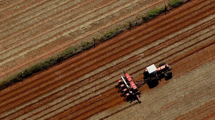 Agricultura: plantações de soja do país cresceram 2 milhões de hectares em dois anos (Reinaldo Canato/VEJA)