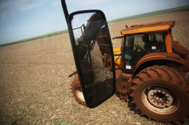 Quantidade de açúcar por hectare no Brasil pode crescer a 21 t até 2025