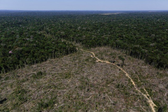 Discurso de autoridades impulsiona desmatamento na Amazônia, diz estudo