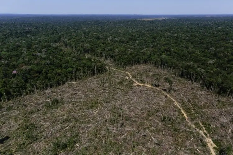 Desmatamento: ONG fez levantamento comparando falas de autoridades com números de desmatamento na Amazônia (Bruno Kelly/Reuters)