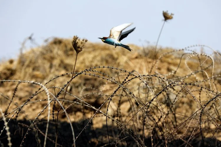 Cerca entre Israel e Gaza: barreira de aço galvanizado de seis metros de altura percorrerá todo o comprimento do território (Amir Cohen/Reuters)