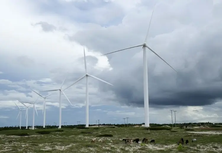 Energia renovável: Decisão quadruplica a meta da energia eólica na cidade (Stuart Grudgings/Reuters)