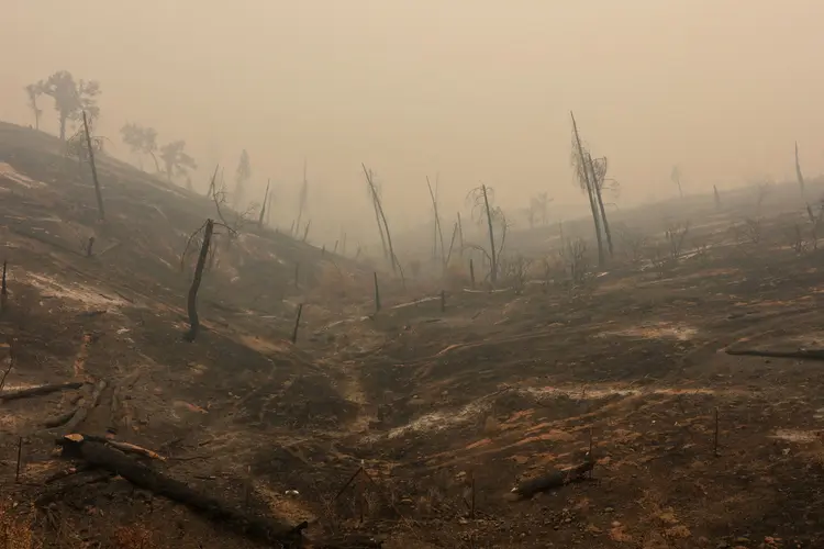 Califórnia: incêndio, o sétimo mais destrutivo na história do estado, se espalhou sem avisos para Redding e comunidades adjacentes na semana passada (Bob Strong/Reuters)