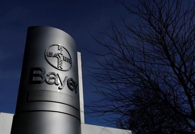 Bayer vê Brasil como chave para expansão de divisão de "crop science"