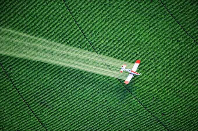Pesticidas: texto do projeto vem sendo criticado por supostamente apressar avaliações dos agroquímicos quanto a danos ao meio ambiente e à saúde humana (Brian Brown/Thinkstock)