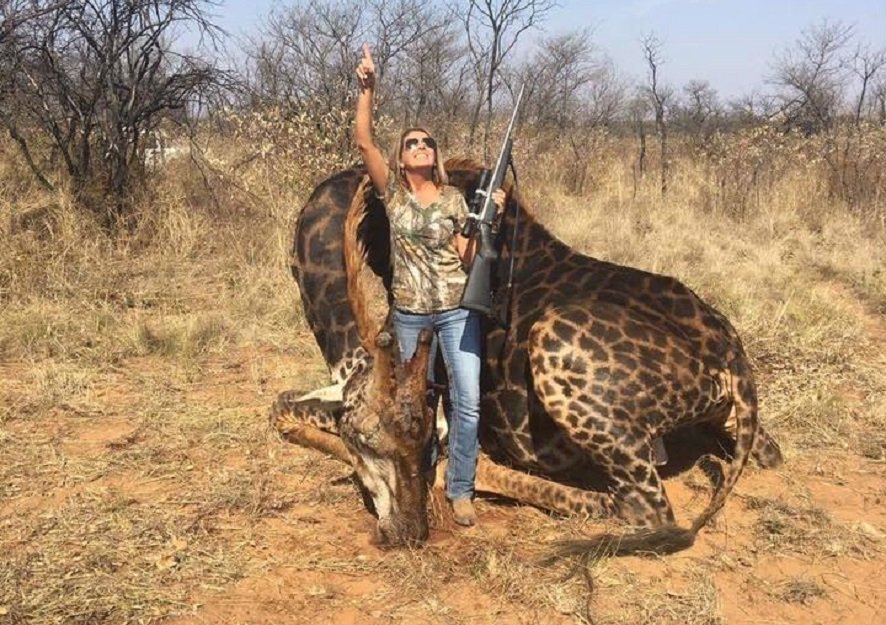 Caçadora americana gera revolta ao postar foto ao lado de girafa morta