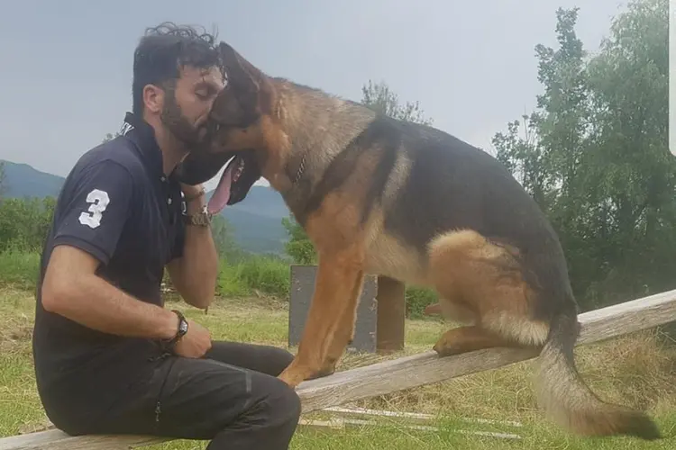 Cão de resgate morre envenenado, na Itália, no quintal se seu dono, Fabio Etorre. População faz clamor por justiça (Fabiano Ettorre/Facebook/Reprodução)