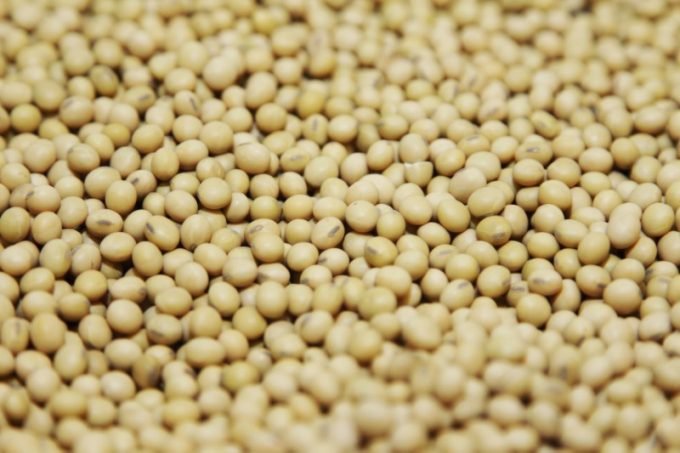 Brasil deve plantar recorde de soja apesar de custos e incertezas
