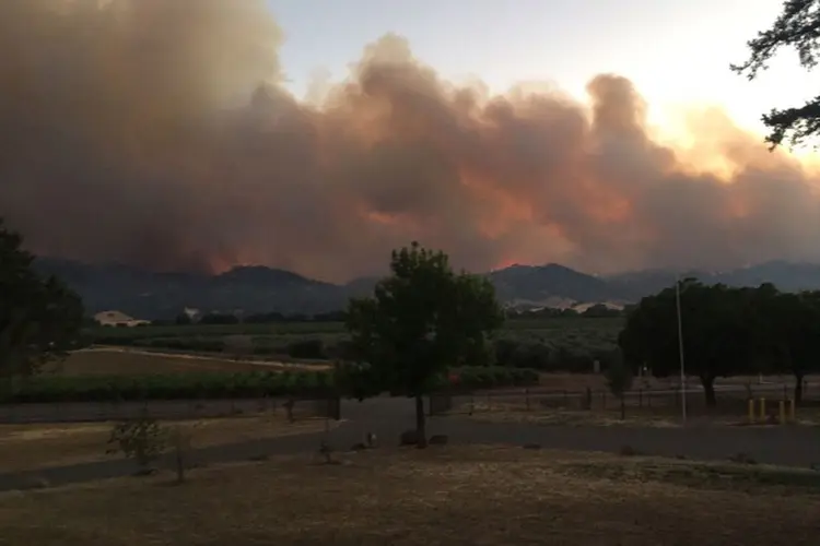 O incêndio começou no sábado e já consumiu 28,8 mil hectares (Departamento de Proteção Florestal da Califórnia/Reuters)