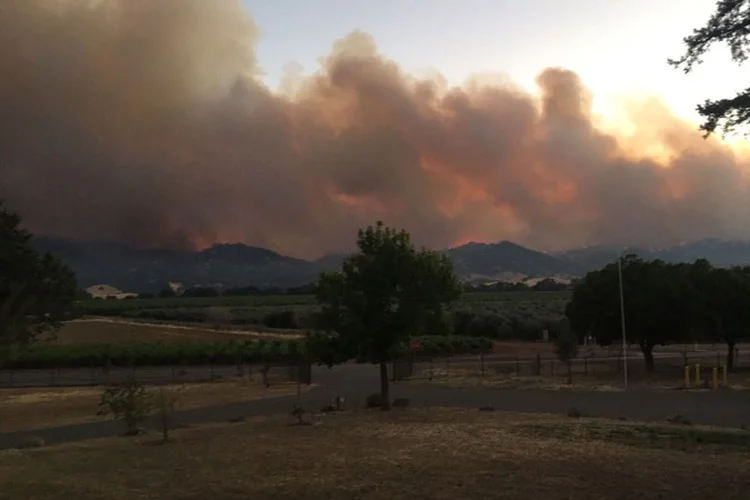 O incêndio começou no sábado e já consumiu 28,8 mil hectares (Departamento de Proteção Florestal da Califórnia/Reuters)