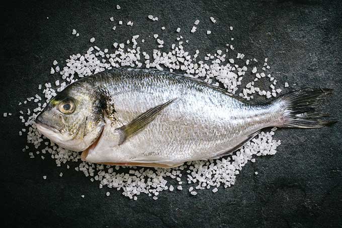 Estamos consumindo peixe como nunca — e a conta está ficando salgada