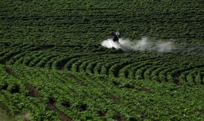 Um dos pesticidas mais usados no mundo vai a júri pela 1ª vez