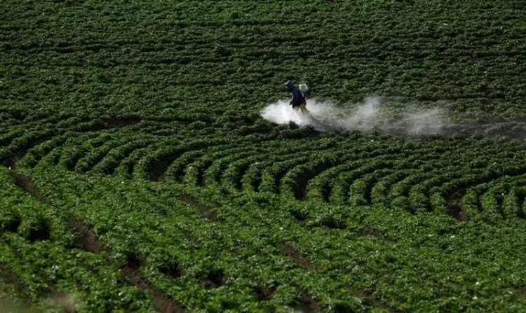 Equipe de Bolsonaro rejeita uma fusão das pastas do Meio Ambiente e da Agricultura (Juan Carlos Ulate/Reuters)