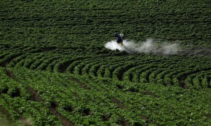 Monsanto: julgamento contra o gigante agroquímico deve durar até o final de agosto, com potencial de ter um grande impacto sobre a companhia (Juan Carlos Ulate/Reuters)