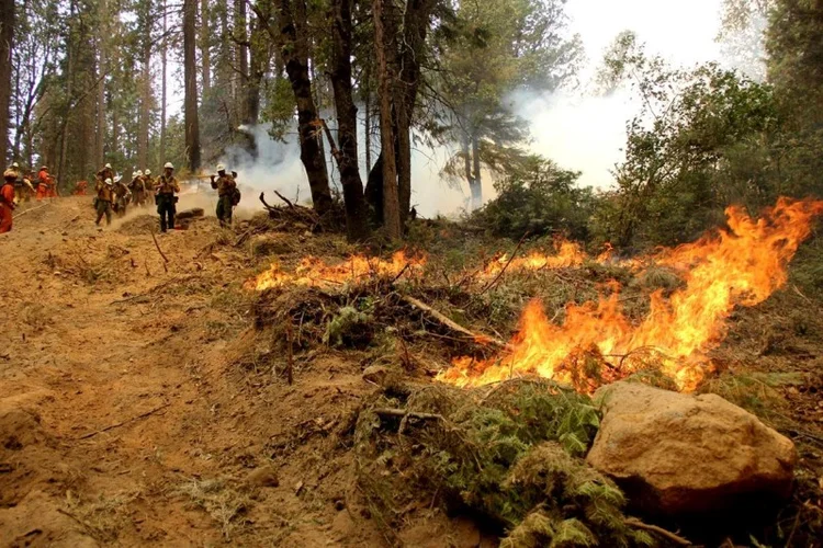 O Fogo Sagrado é um dos vários incêndios se alastrando pela Califórnia que deslocaram dezenas de milhares de pessoas (Cortesia do Serviço Florestal dos EUA/Reuters)