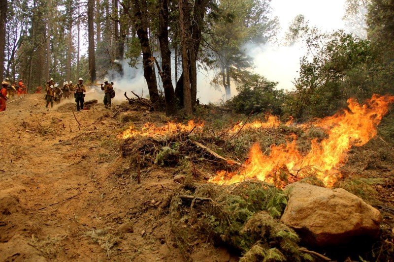 Incêndio florestal agressivo ameaça milhares de casas no sul da Califórnia