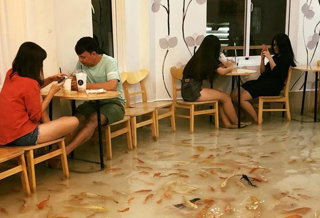 Em cafeteria "inundada" no Vietnã, peixes nadam entre os pés dos clientes