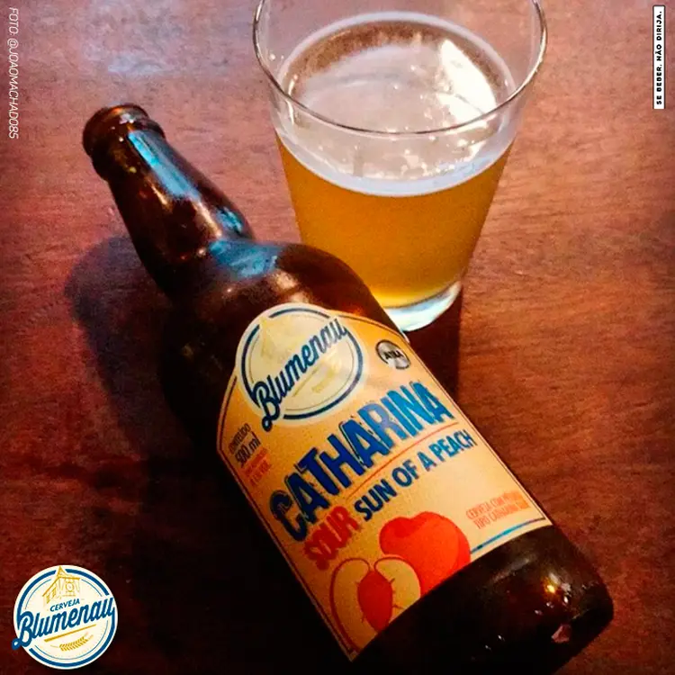 Catharina Sour: cerveja começou a ser testada comercialmente entre os anos de 2014 e 2016 (cervejaria Blumenau/facebook/Reprodução)