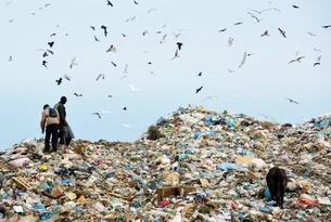 Brasil realiza a primeira venda de crédito de reciclagem de resíduos orgânicos do mundo