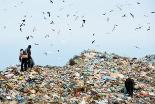 Imagem referente à matéria: Brasil realiza a primeira venda de crédito de reciclagem de resíduos orgânicos do mundo