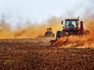 Imagem referente à matéria: Empresa de commodities cresce quase 10 vezes em uma década e desafia gigantes do setor