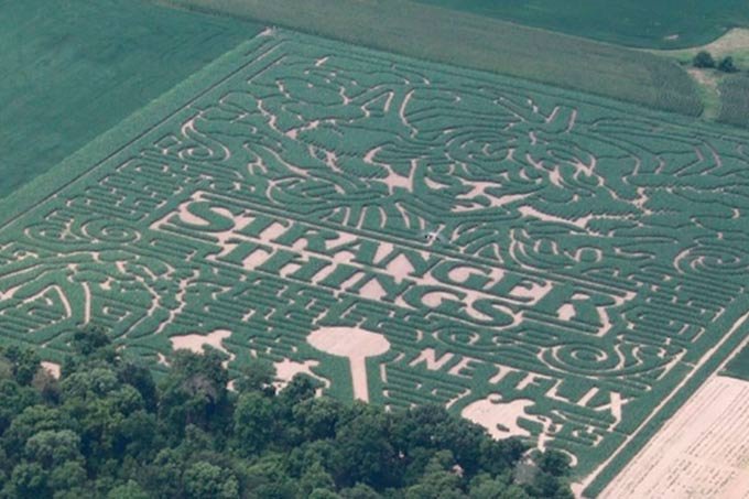 Upside Corn: Labirinto de "Stranger Things" aparece em campo de milho